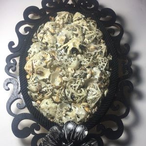 Seashells wall hanging decor